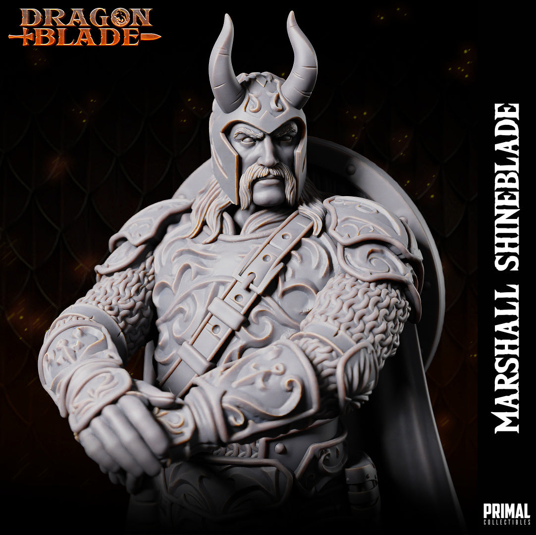DNDDGL - Sturm Brightblade Marshall Shineblade Dragonlance mini