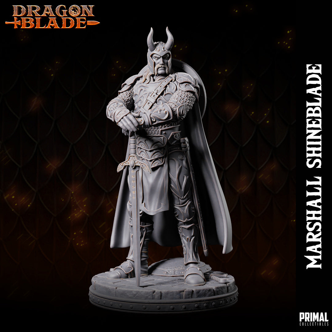 DNDDGL - Sturm Brightblade Marshall Shineblade Dragonlance mini