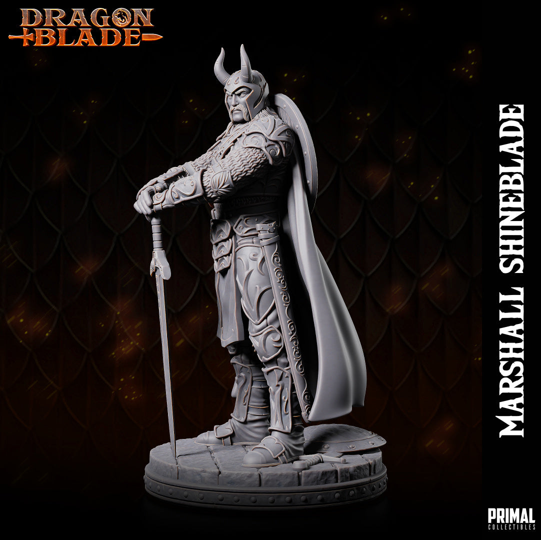 DNDDGL - Sturm Brightblade Marshall Shineblade Dragonlance mini