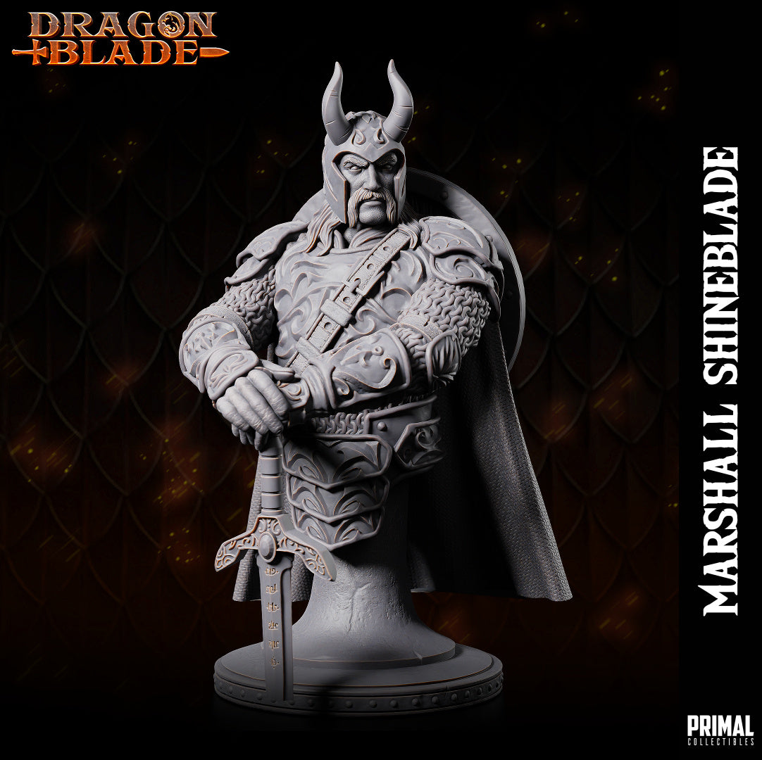 DNDDGL - Sturm Brightblade Marshall Shineblade Dragonlance mini