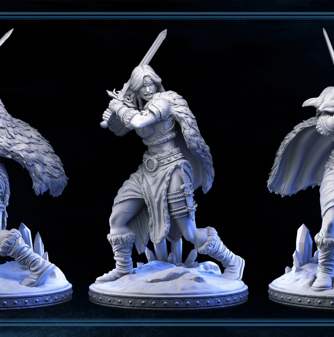 DNDFZD - Valkyrie - The Battle-tested Human Barbarian
