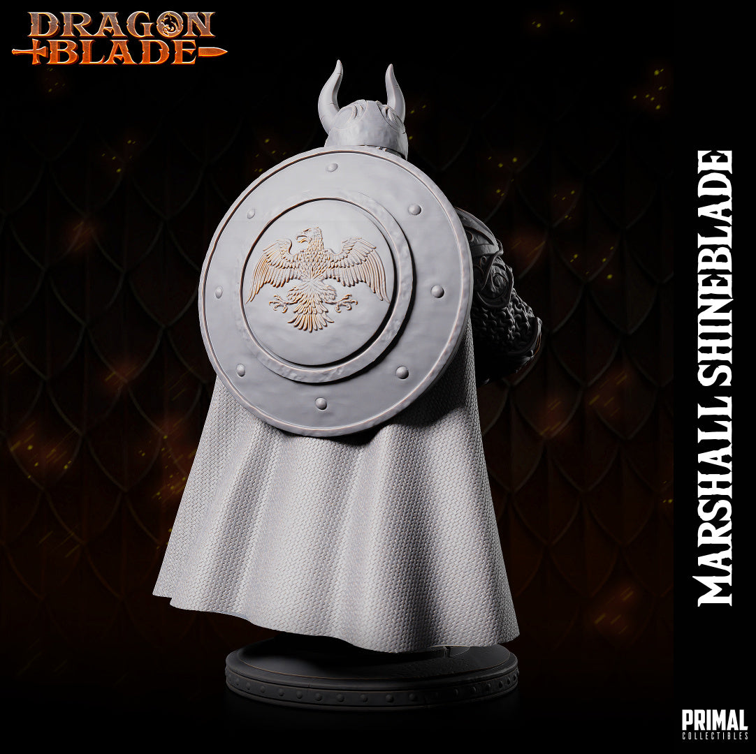 DNDDGL - Sturm Brightblade Marshall Shineblade Dragonlance mini