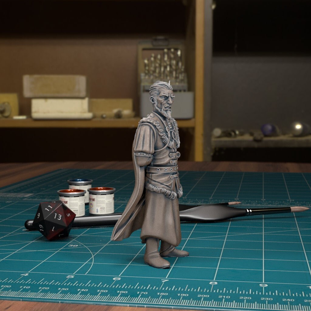 DnDCoS - Vargas Human Noble NPC miniature