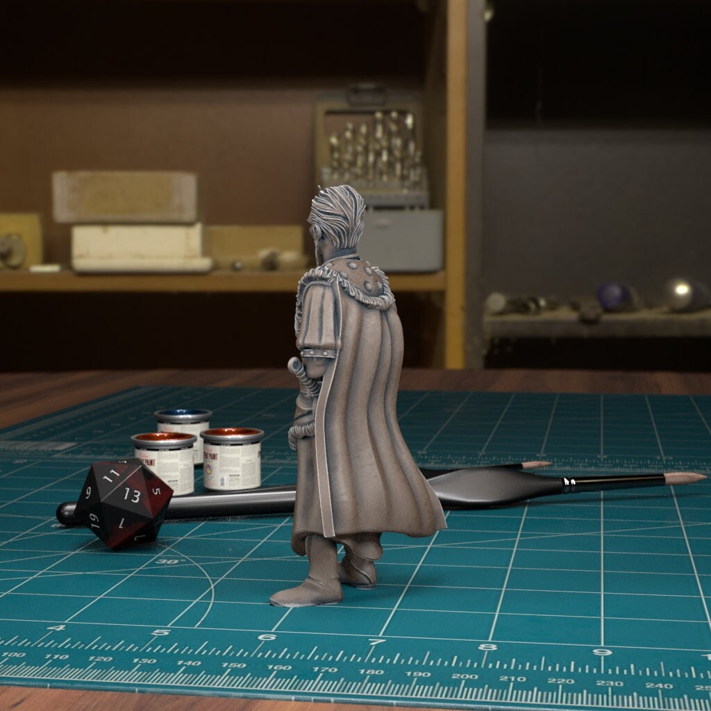 DnDCoS - Vargas Human Noble NPC miniature