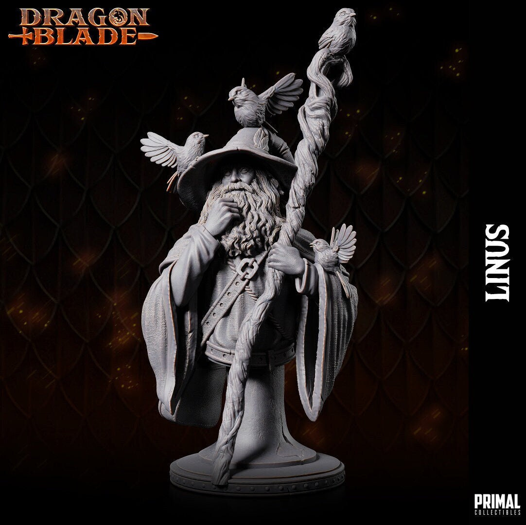 Fizban's long robes, adorned with numerous pouches, flow as he stands, leaning on his gnarled staff. His brimmed hat shelters birds perched atop. He coifs his long beard, and a satchel hangs by his side. Resting his foot on a stump in the grass.