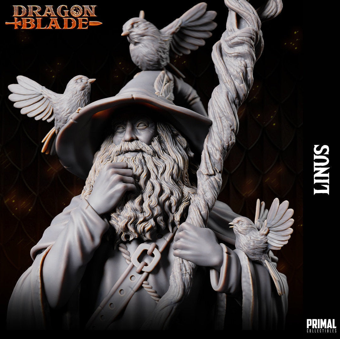 Fizbans long robes, adorned with numerous pouches, flow as he stands, leaning on his gnarled staff. His brimmed hat shelters birds perched atop. He coifs his long beard, and a satchel hangs by his side. Resting his foot on a stump in the grass.