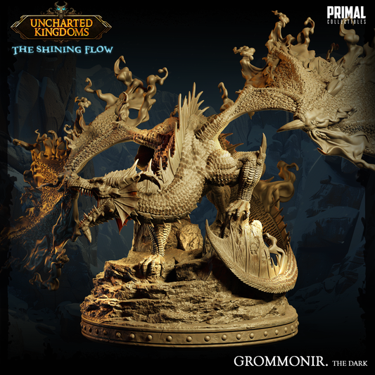 DNDUK - Shimmergloom - Grommonir - Shadow Dragon miniature