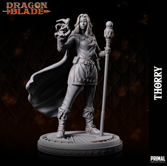 DNDHQ - Thorry - Spellswarm Wizard Human Lady