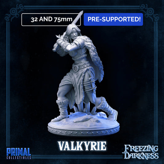 DNDFZD - Valkyrie - The Battle-tested Human Barbarian