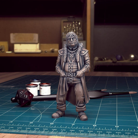 Curse of Strahd 30 NPC Pack für Tabletop RPG, Miniaturfiguren Curse of Strahd 30 NPC Pack für Tabletop RPG, Miniaturfiguren